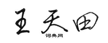 骆恒光王天田行书个性签名怎么写