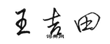 骆恒光王吉田行书个性签名怎么写