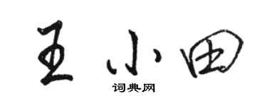 骆恒光王小田行书个性签名怎么写