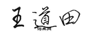 骆恒光王道田行书个性签名怎么写