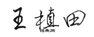 骆恒光王植田行书个性签名怎么写