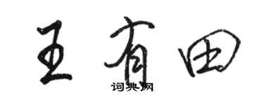 骆恒光王有田行书个性签名怎么写