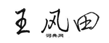 骆恒光王风田行书个性签名怎么写