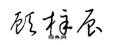 梁锦英顾梓辰草书个性签名怎么写