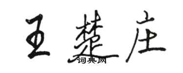 骆恒光王楚庄行书个性签名怎么写