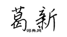 王正良葛新行书个性签名怎么写