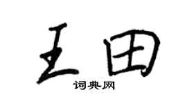 王正良王田行书个性签名怎么写