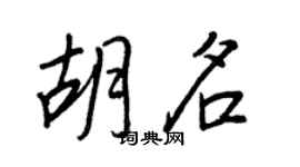 王正良胡名行书个性签名怎么写