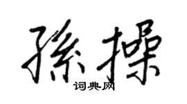 王正良孙操行书个性签名怎么写