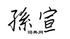 王正良孙宣行书个性签名怎么写