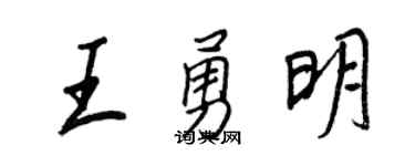 王正良王勇明行书个性签名怎么写