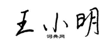 王正良王小明行书个性签名怎么写