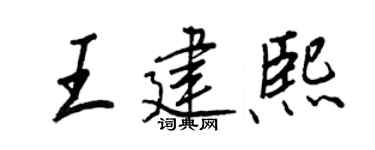 王正良王建熙行书个性签名怎么写