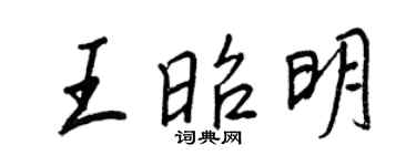 王正良王昭明行书个性签名怎么写