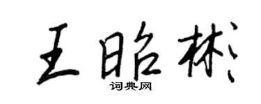 王正良王昭彬行书个性签名怎么写