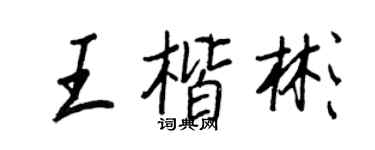 王正良王楷彬行书个性签名怎么写