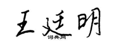 王正良王廷明行书个性签名怎么写