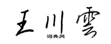 王正良王川云行书个性签名怎么写