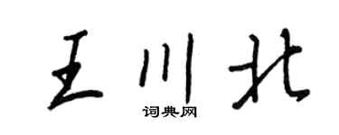 王正良王川北行书个性签名怎么写