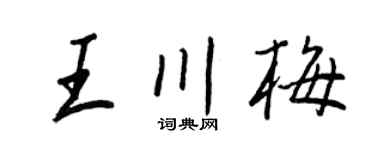 王正良王川梅行书个性签名怎么写