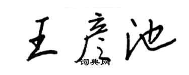 王正良王彦池行书个性签名怎么写