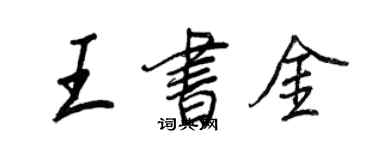 王正良王书金行书个性签名怎么写