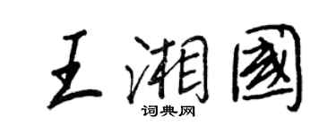 王正良王湘国行书个性签名怎么写