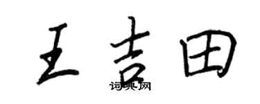 王正良王吉田行书个性签名怎么写