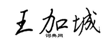 王正良王加城行书个性签名怎么写