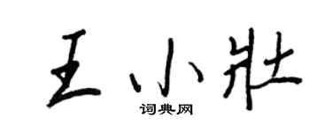 王正良王小壮行书个性签名怎么写