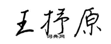 王正良王抒原行书个性签名怎么写