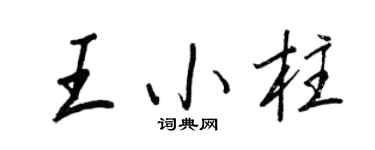 王正良王小柱行书个性签名怎么写