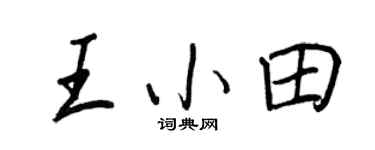 王正良王小田行书个性签名怎么写