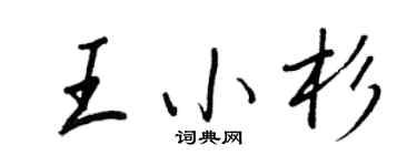 王正良王小杉行书个性签名怎么写