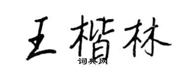 王正良王楷林行书个性签名怎么写