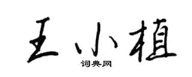 王正良王小植行书个性签名怎么写