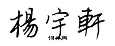 王正良杨宇轩行书个性签名怎么写