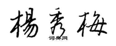 王正良杨秀梅行书个性签名怎么写