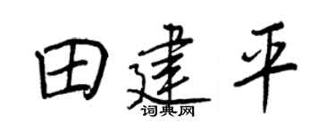 王正良田建平行书个性签名怎么写