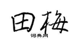 王正良田梅行书个性签名怎么写