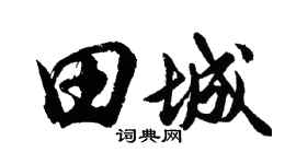 胡问遂田城行书个性签名怎么写