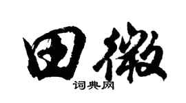 胡问遂田微行书个性签名怎么写