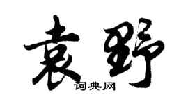 胡问遂袁野行书个性签名怎么写