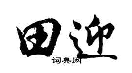 胡问遂田迎行书个性签名怎么写