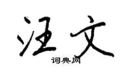 王正良汪文行书个性签名怎么写