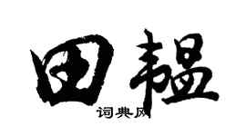 胡问遂田韫行书个性签名怎么写