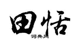 胡问遂田恬行书个性签名怎么写