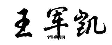 胡问遂王军凯行书个性签名怎么写