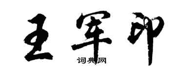 胡问遂王军印行书个性签名怎么写