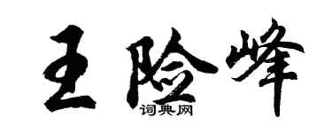 胡问遂王险峰行书个性签名怎么写